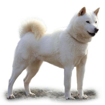 Hokkaidó